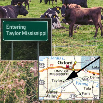 Entering Taylor MS sign and map showing location of Taylor with cows in a pasture in the background